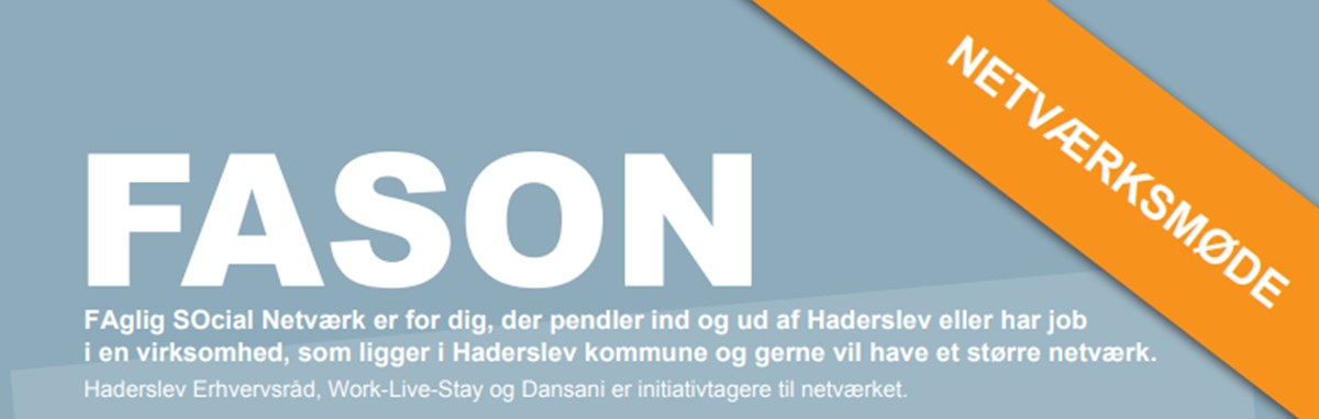 FASON netværk, inspiration og højtuddannede i Haderslev Kommune |